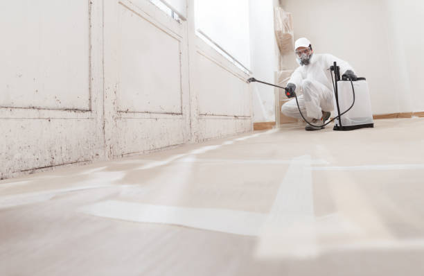 24/7 Emergency Mold Remediation experts in Dundas, VA