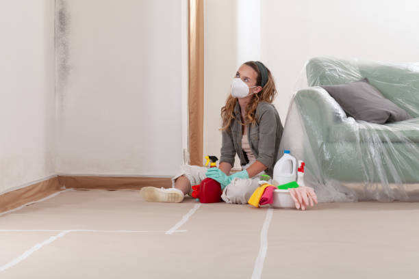 Reliable Mold Remediation contractor in Dundas, VA by 24 Hour Mold Removal