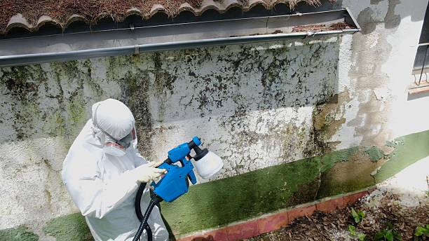 Top rated local Mold Remediation specialists in Dundas, VA